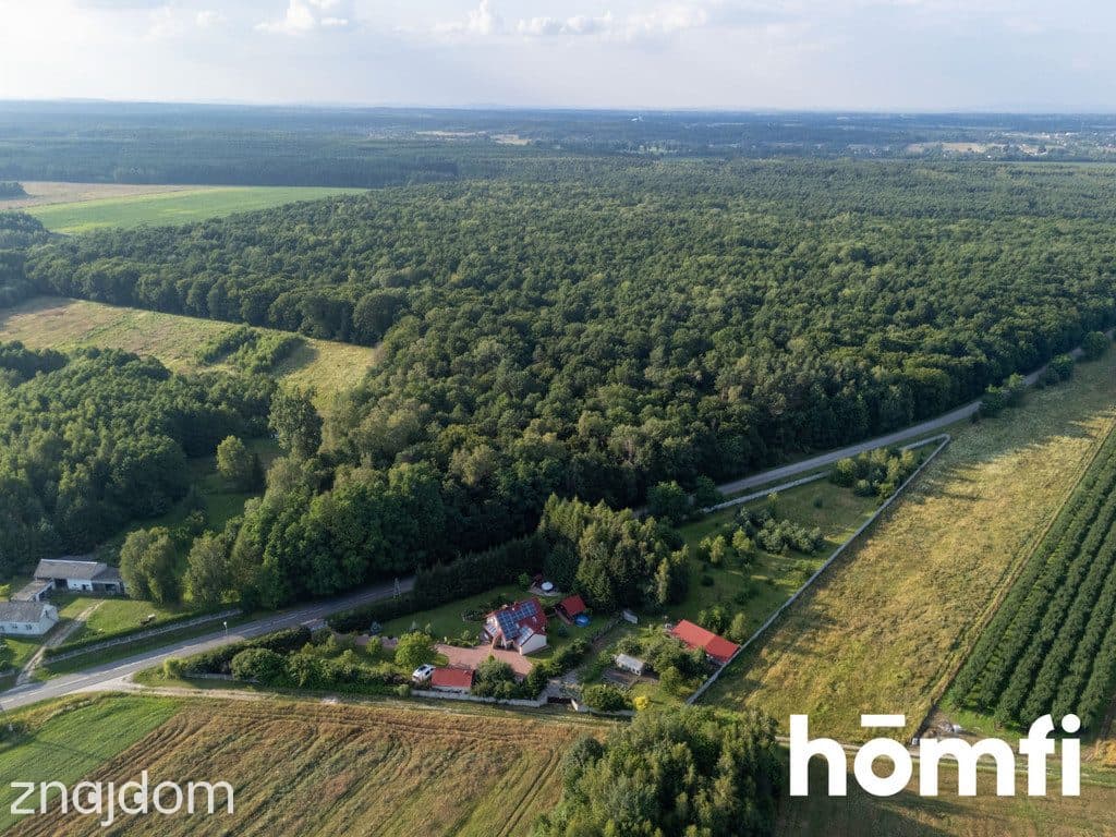 Dom z prywatnym siedliskiem | 6005 m² - zdjęcie 12