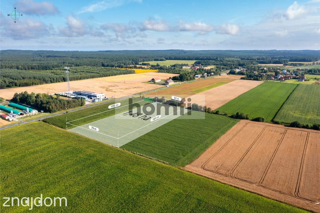 Działka przemysłowo-usługowa 1,48 ha - zdjęcie 10