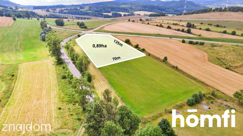 Działka Budowlano-Usługowa w Przedwojowie 0,9ha - zdjęcie 4