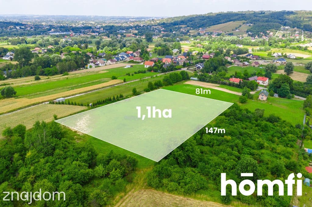 WZ | Widokowa | 1,1 ha - zdjęcie 10