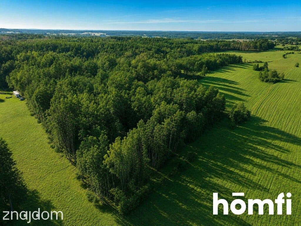 DZIAŁKA LEŚNA – Czarna Dąbrówka, Rokity - zdjęcie 6