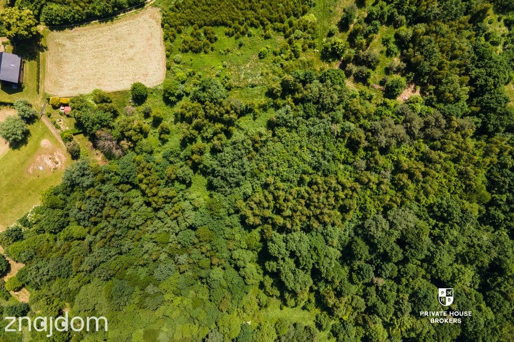 Atrakcyjna działka budowlana 0,38HA, Brzezowa - zdjęcie 10