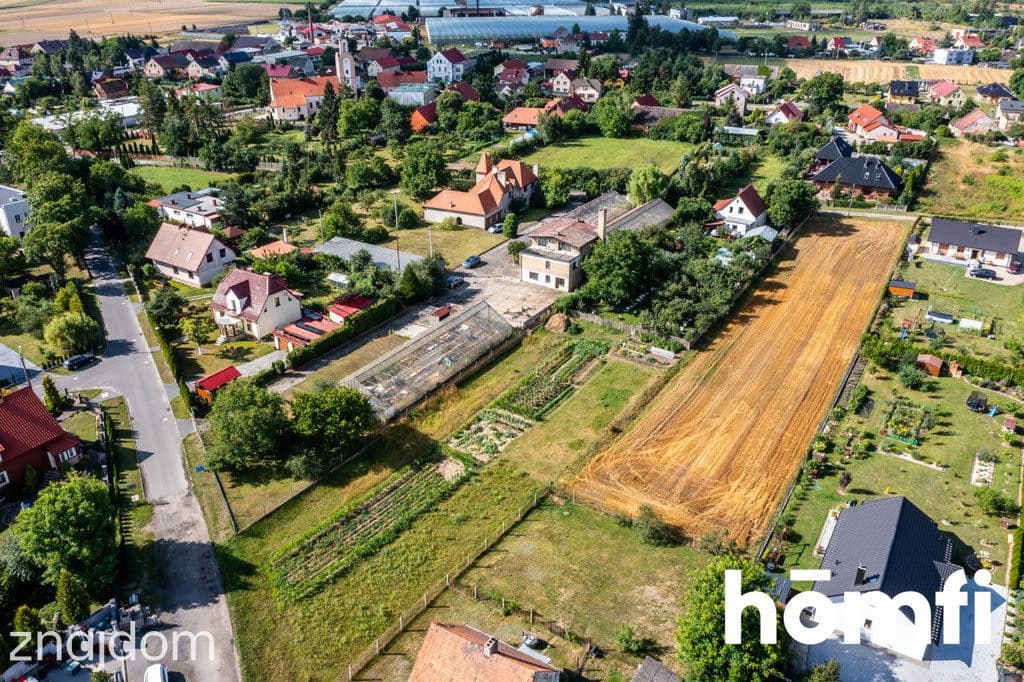 Nieruchomość z potencjałem - dom i 4 szklarnie - zdjęcie 19