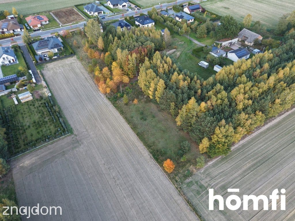 DZIAŁKA 3204 m² | KLESZCZÓW | ŁĘKIŃSKO - zdjęcie 5