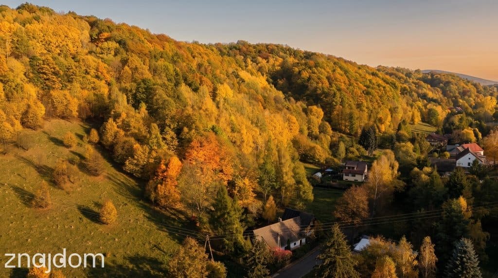 Unikalny dom przysłupowy z 1829 roku - zdjęcie 19