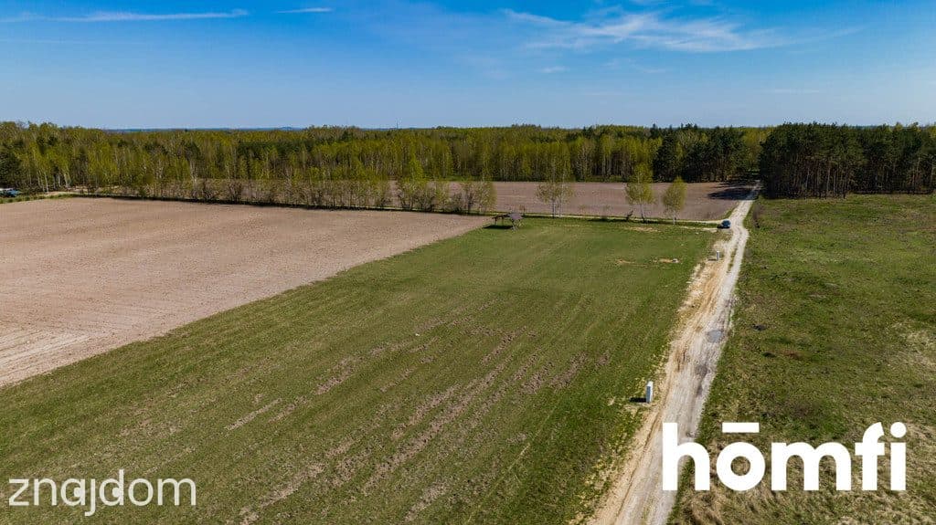Ustawne i duże działki budowlane w Jankowicach - zdjęcie 13
