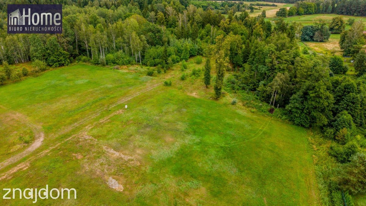Działka 1272 m² z WZ  –Grabówka ul. Arnikowa - zdjęcie 11
