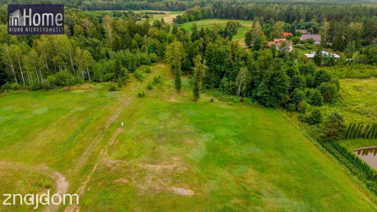 Działka 1272 m² z WZ  –Grabówka ul. Arnikowa - zdjęcie 12