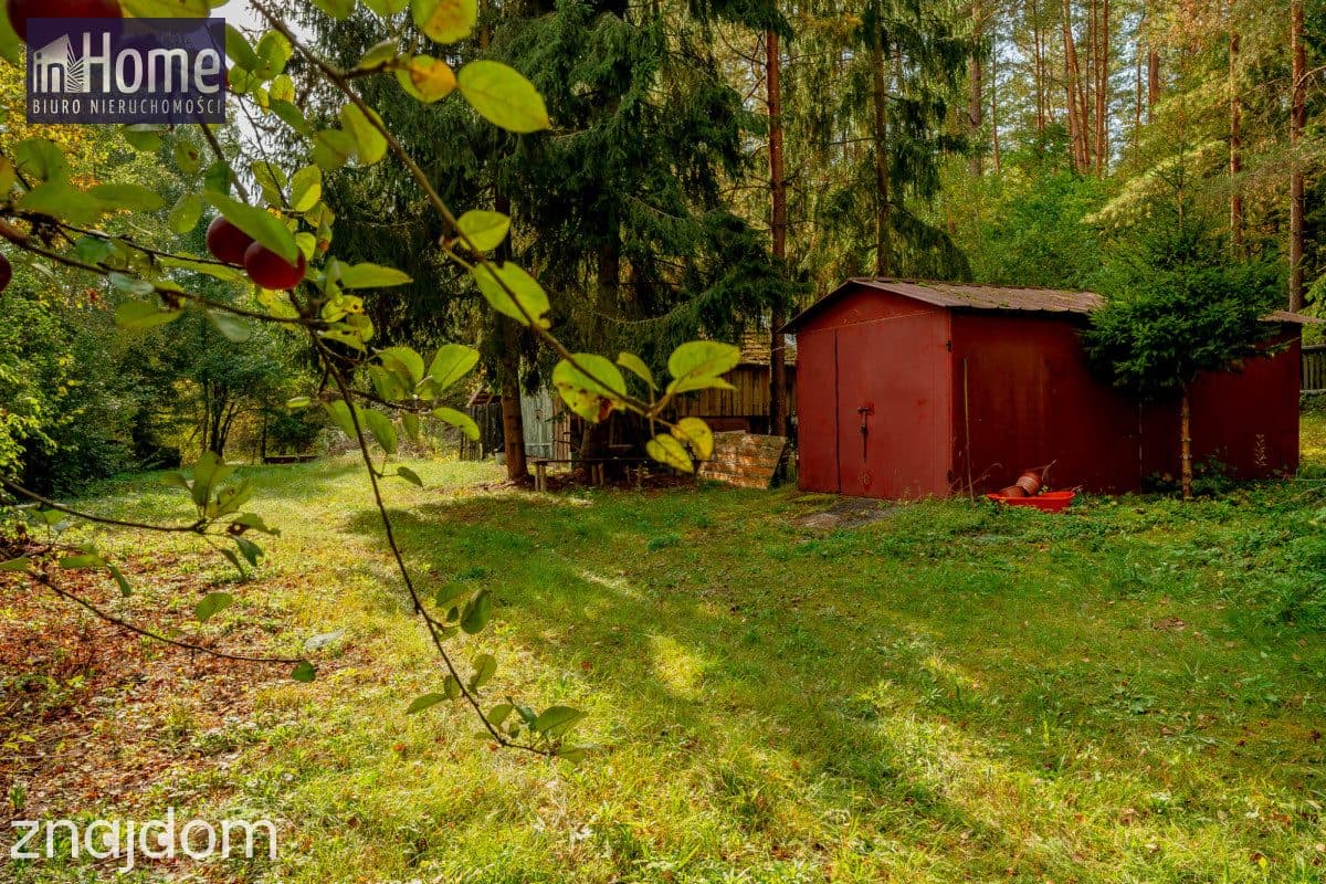 Dom na skraju lasu | działka 2300m2 | dom 70m2 - zdjęcie 7