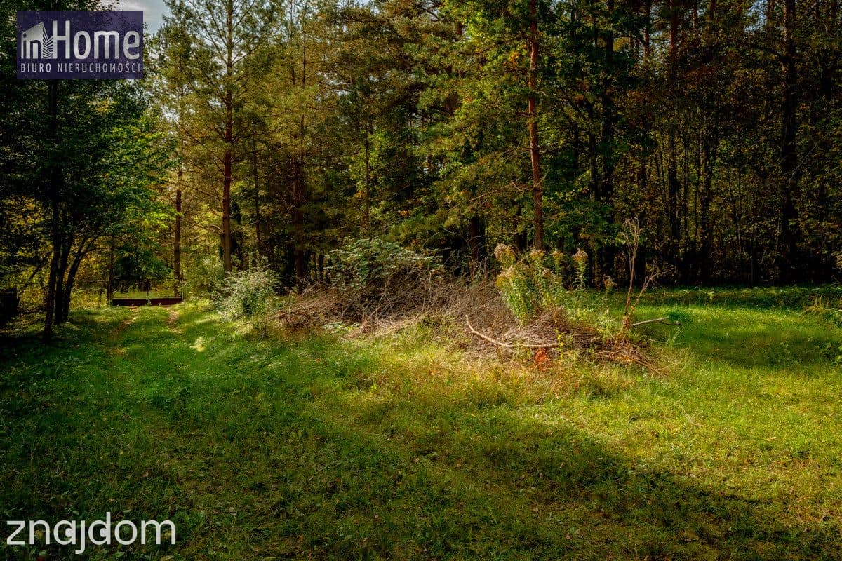 Dom na skraju lasu | działka 2300m2 | dom 70m2 - zdjęcie 5