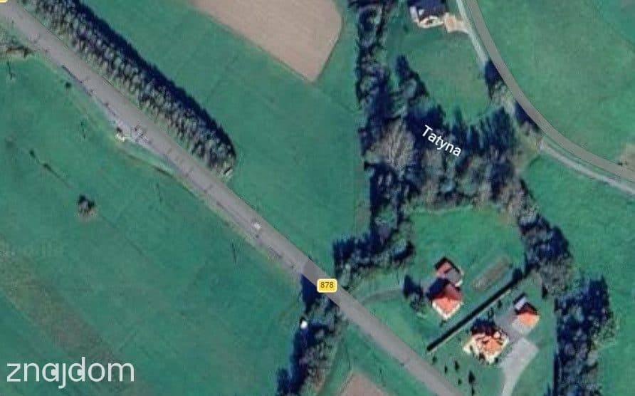 Działka 40 arów w Nowym Borku - zdjęcie 4
