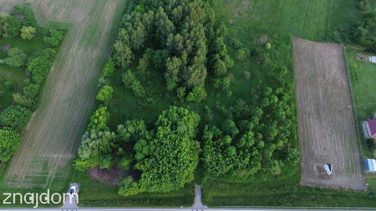 DUŻA DZIAŁKA DLA INWESTORA PRZY DK 94 / SĘDZISZÓW - zdjęcie 5
