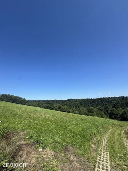 Widokowa działka z WZ 12 ar/okolice Niebylca - zdjęcie 11