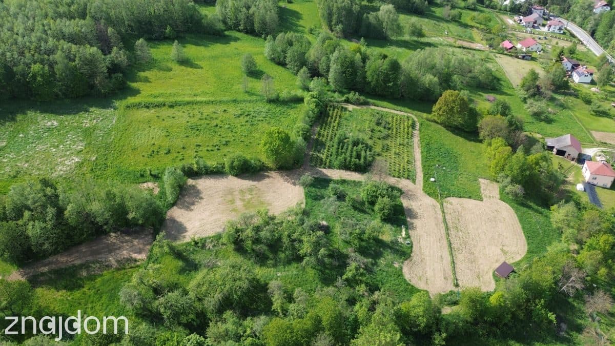 Widokowa działka 1,24 ha /6 km od granicy Rzeszowa - zdjęcie 2