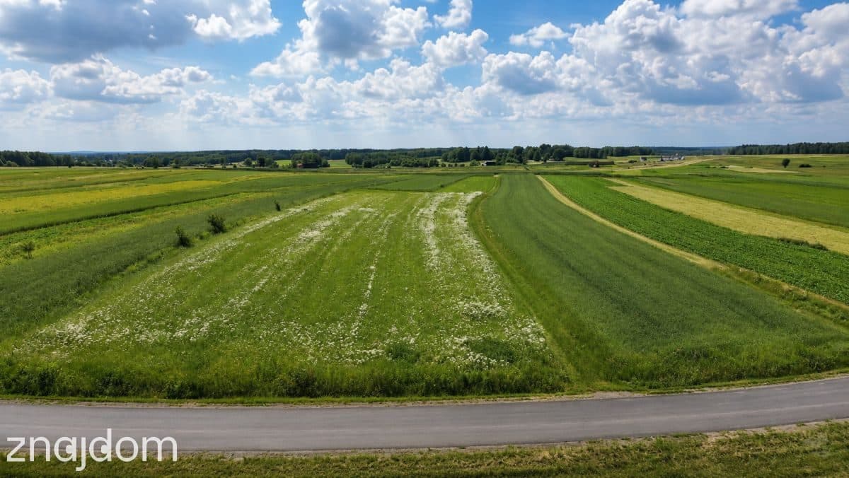 DUŻA DZIAŁKA | PIĘKNA OKOLICA | 8 MIN OD SOKOŁOWA