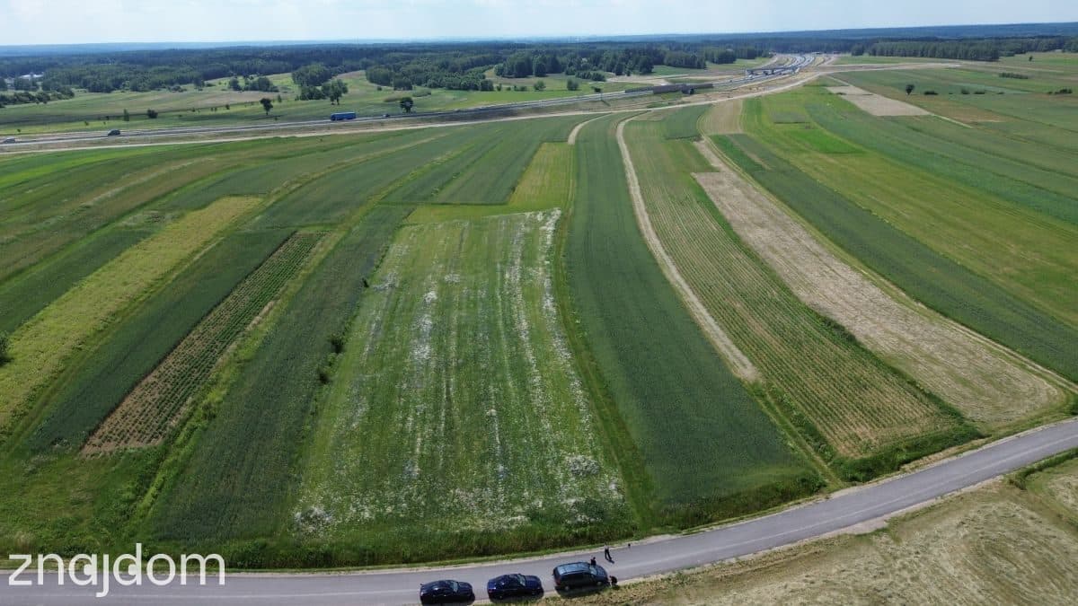 DUŻA DZIAŁKA | PIĘKNA OKOLICA | 8 MIN OD SOKOŁOWA - zdjęcie 3