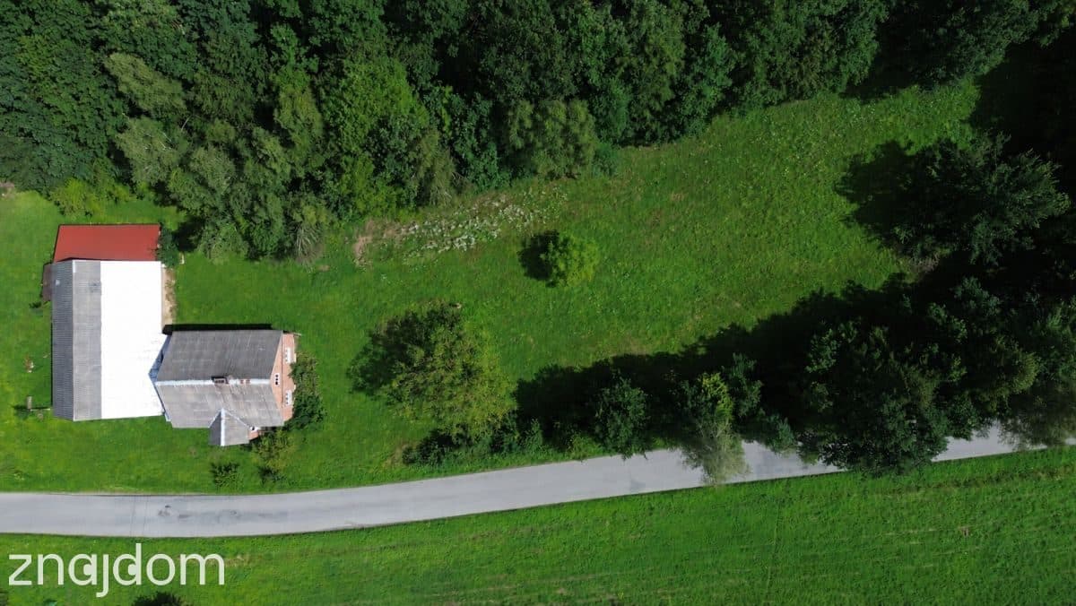 Klimatyczne Siedlisko 90 arów z mediami! - zdjęcie 5