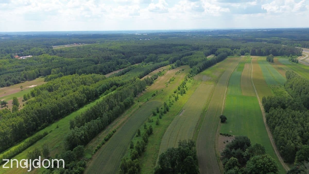 DUŻA DZIAŁKA | PIĘKNA OKOLICA | 8 MIN OD SOKOŁOWA - zdjęcie 4