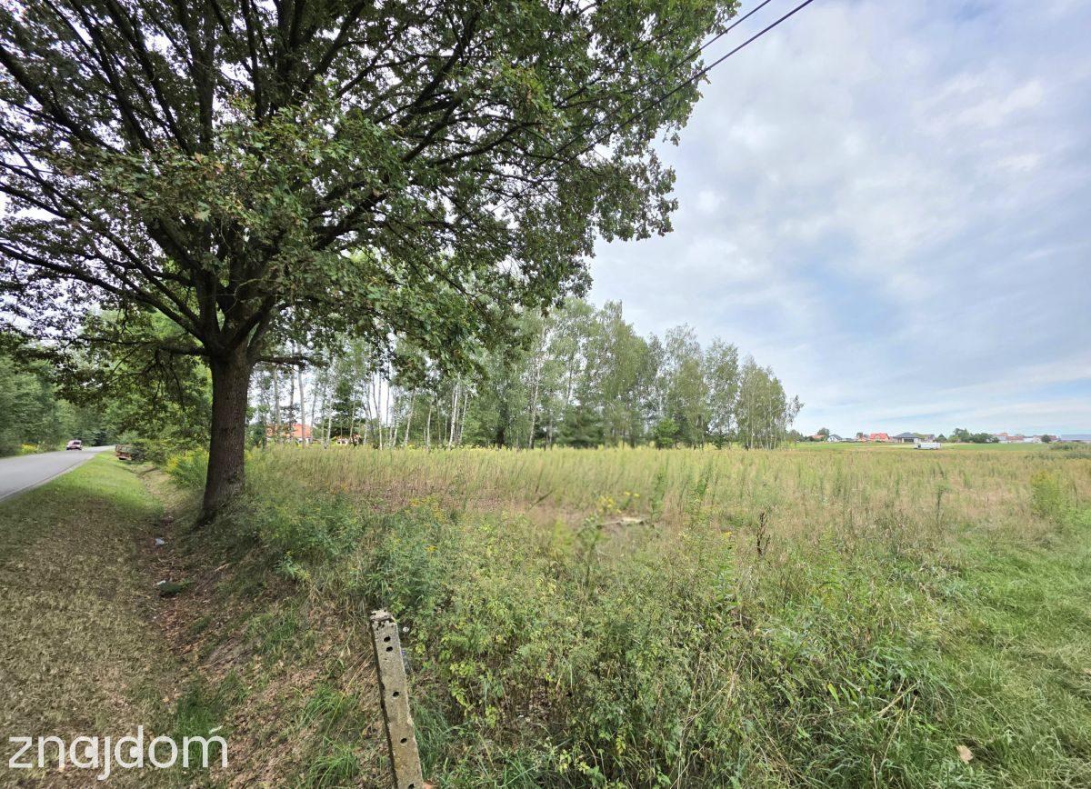 Działki inwestycyjne 8 347 m² – Kolbuszowa - zdjęcie 5