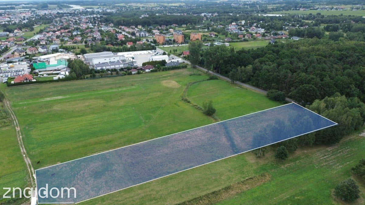 Działki inwestycyjne 8 347 m² – Kolbuszowa - zdjęcie 3