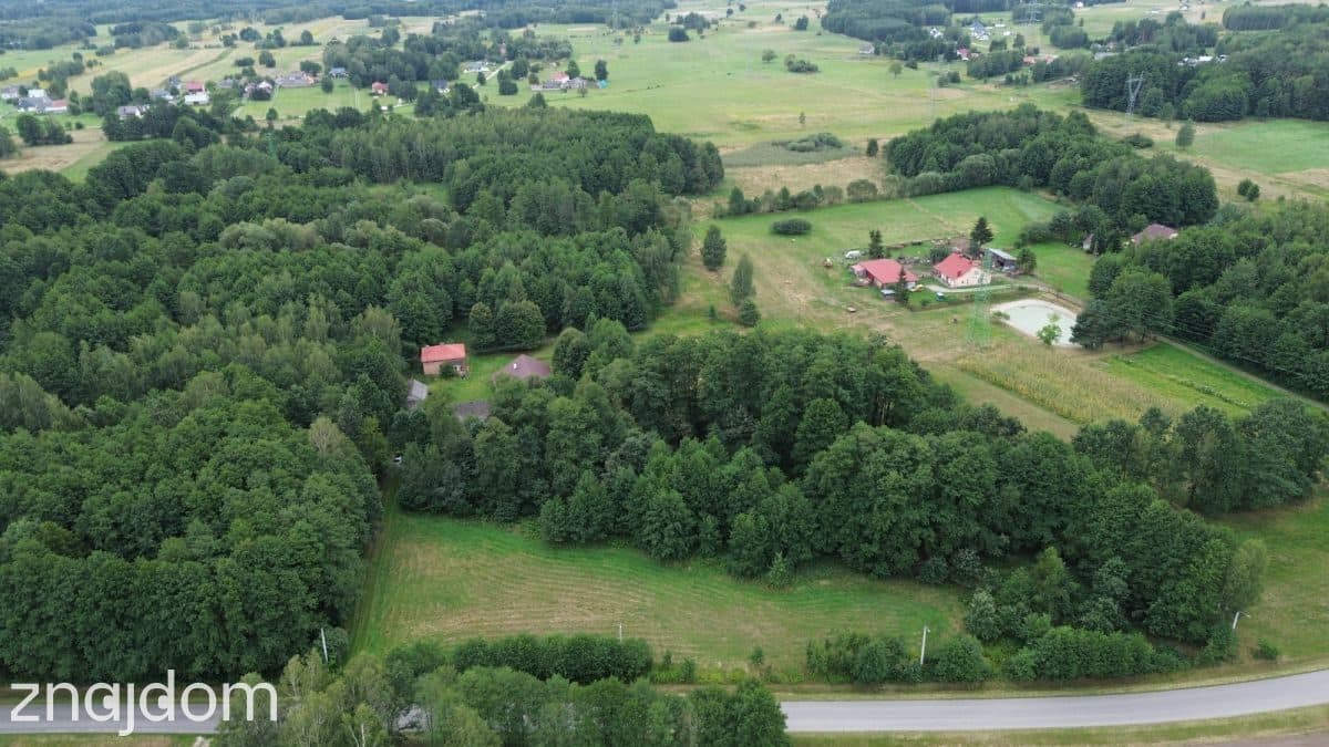 Siedlisko z Potencjałem inwestycyjnym/ Kupno2,3 Ha - zdjęcie 11