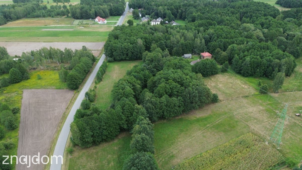 Siedlisko z Potencjałem inwestycyjnym/ Kupno2,3 Ha - zdjęcie 12