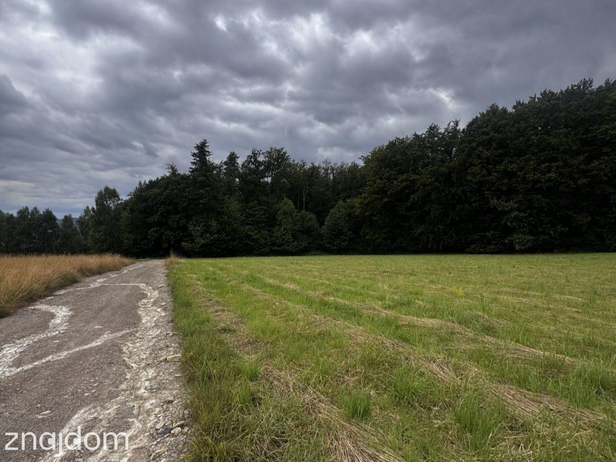 Działka 24,71 ar/ WZ / Połomia