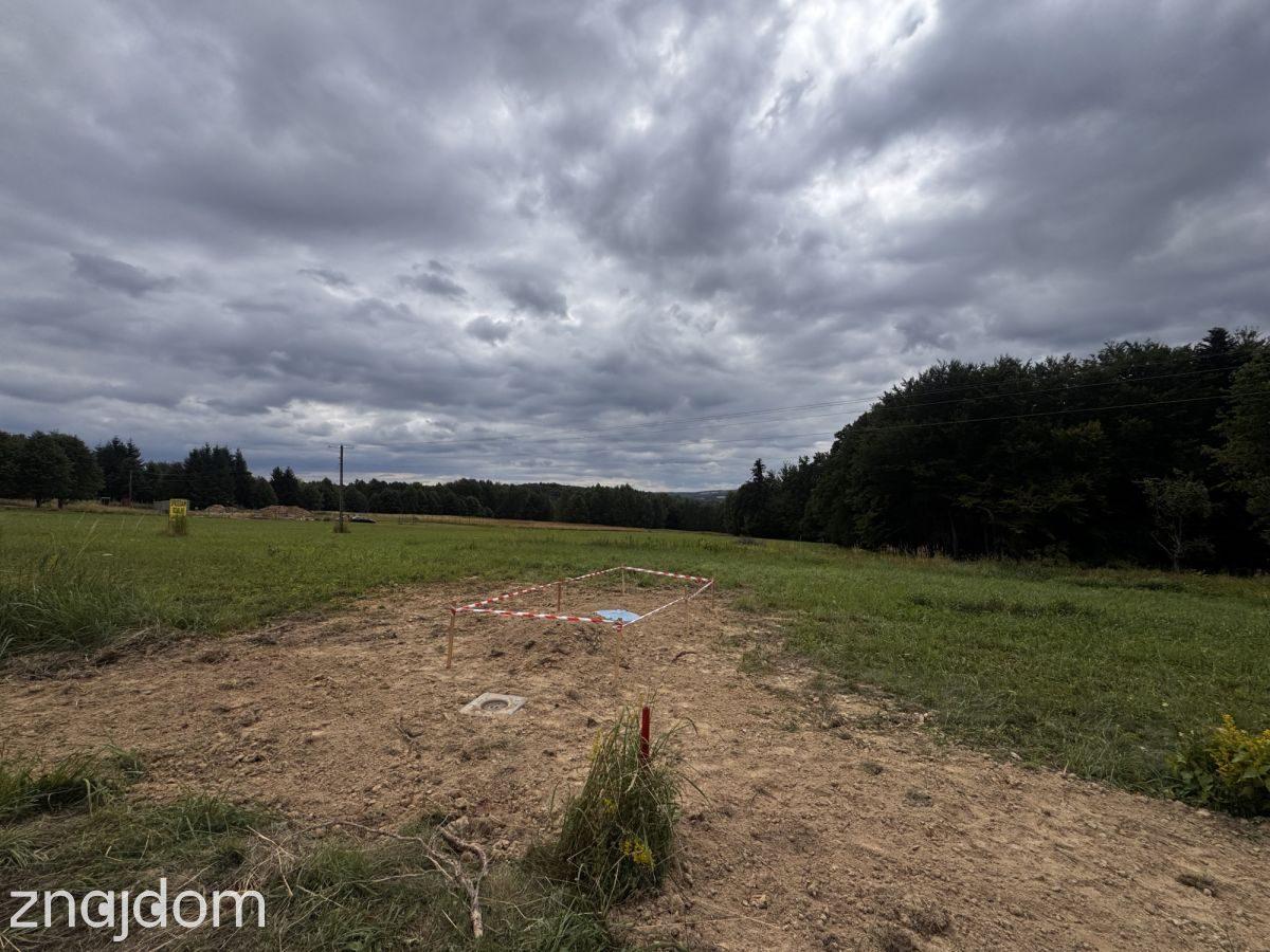 Działka 24,71 ar/ WZ / Połomia - zdjęcie 6