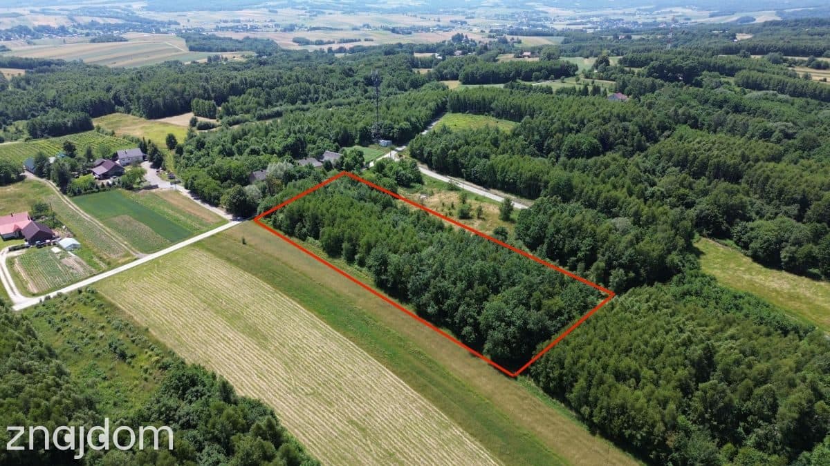 Widokowa działka 68 ar Będziemyśl-20km od Rzeszowa - zdjęcie 2