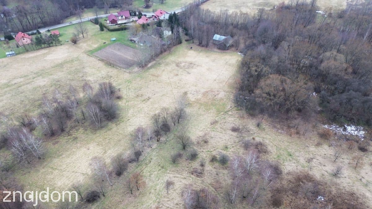 UROKLIWA DZIAŁKA W CHMIELNIKU | WZ | 1,2 HA - zdjęcie 2