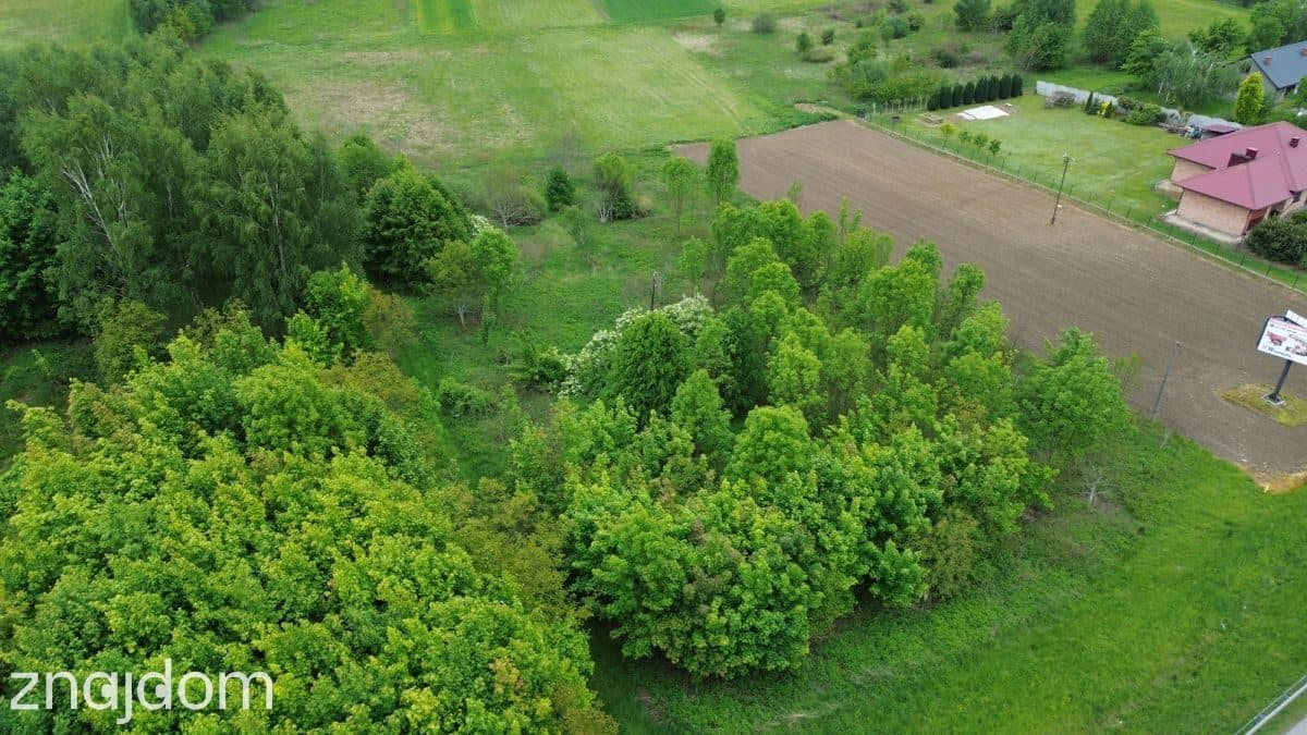 Atrakcyjna działka przy DK 94 w SĘDZISZOWIE - zdjęcie 4