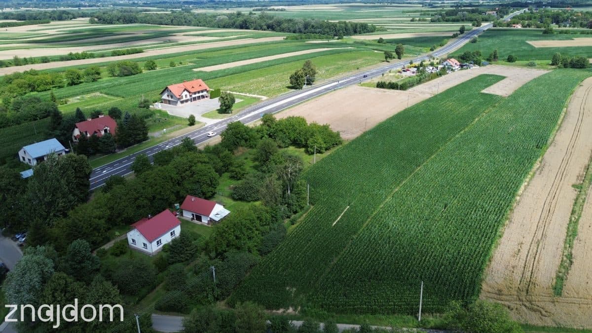 12,9 ar Rogóżno Warunki Zabudowy - zdjęcie 3