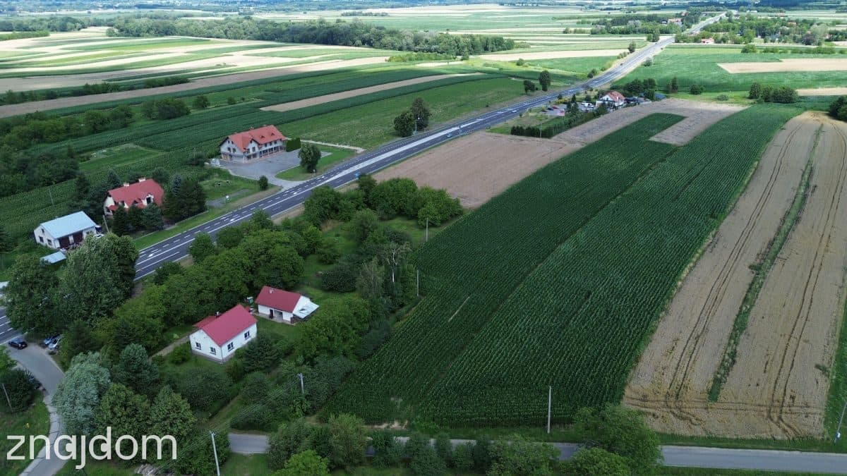 12,9 ar Rogóżno Warunki Zabudowy - zdjęcie 4