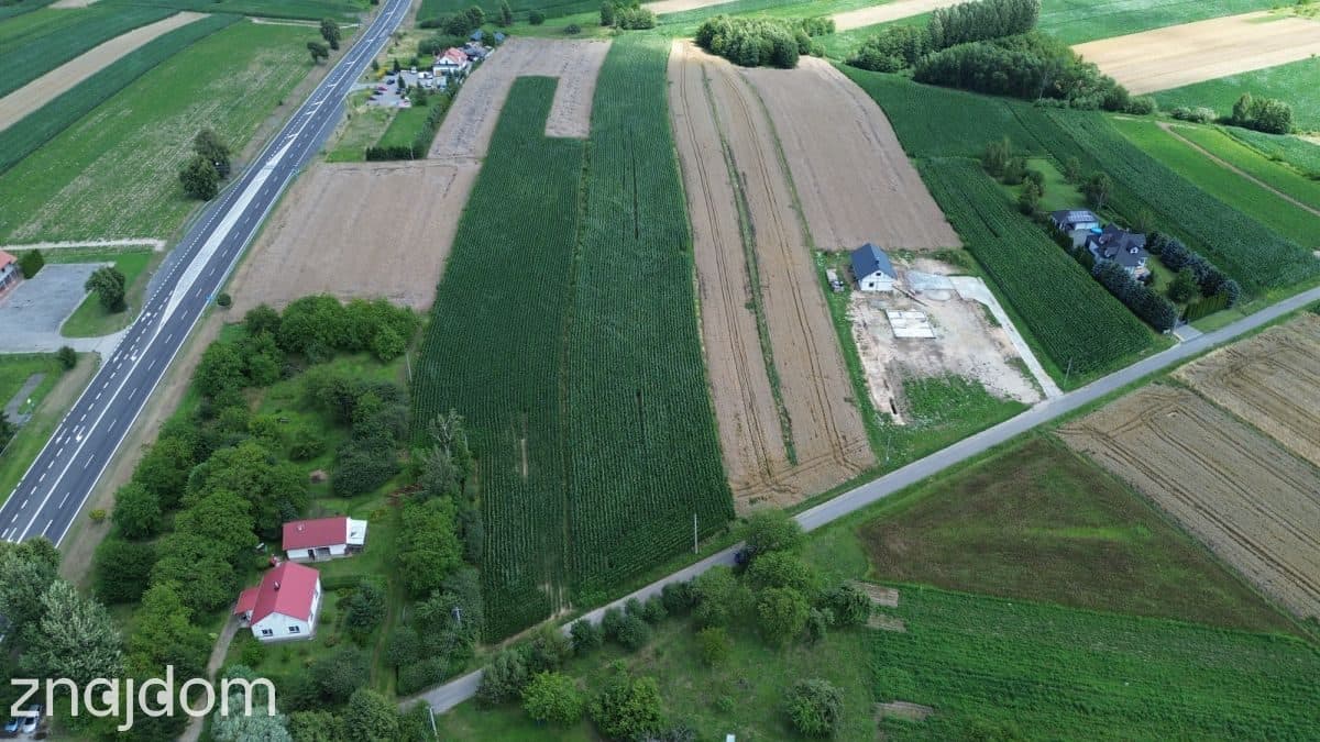 12,9 ar Rogóżno Warunki Zabudowy - zdjęcie 5