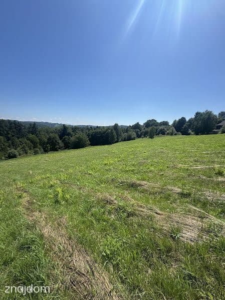 Przestrzeń, cisza i natura – działka 52 ar z WZ