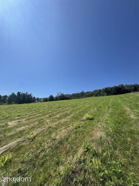 Przestrzeń, cisza i natura – działka 52 ar z WZ - zdjęcie 3