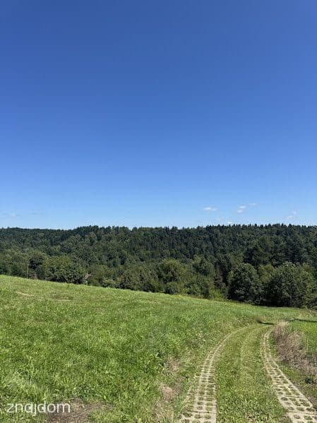 Przestrzeń, cisza i natura – działka 52 ar z WZ - zdjęcie 5