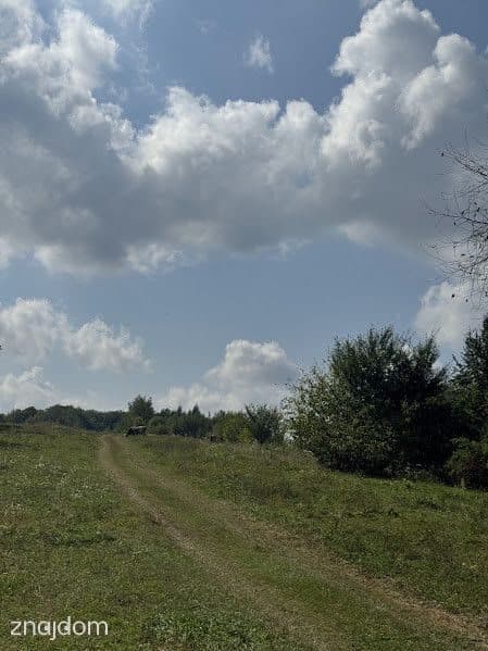 Malownicza działka z domem – 20,55 ar, Stara Wieś - zdjęcie 5