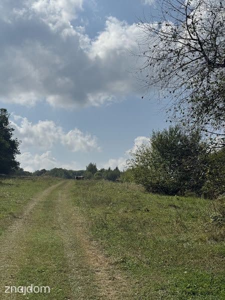 Malownicza działka z domem – 20,55 ar, Stara Wieś - zdjęcie 6