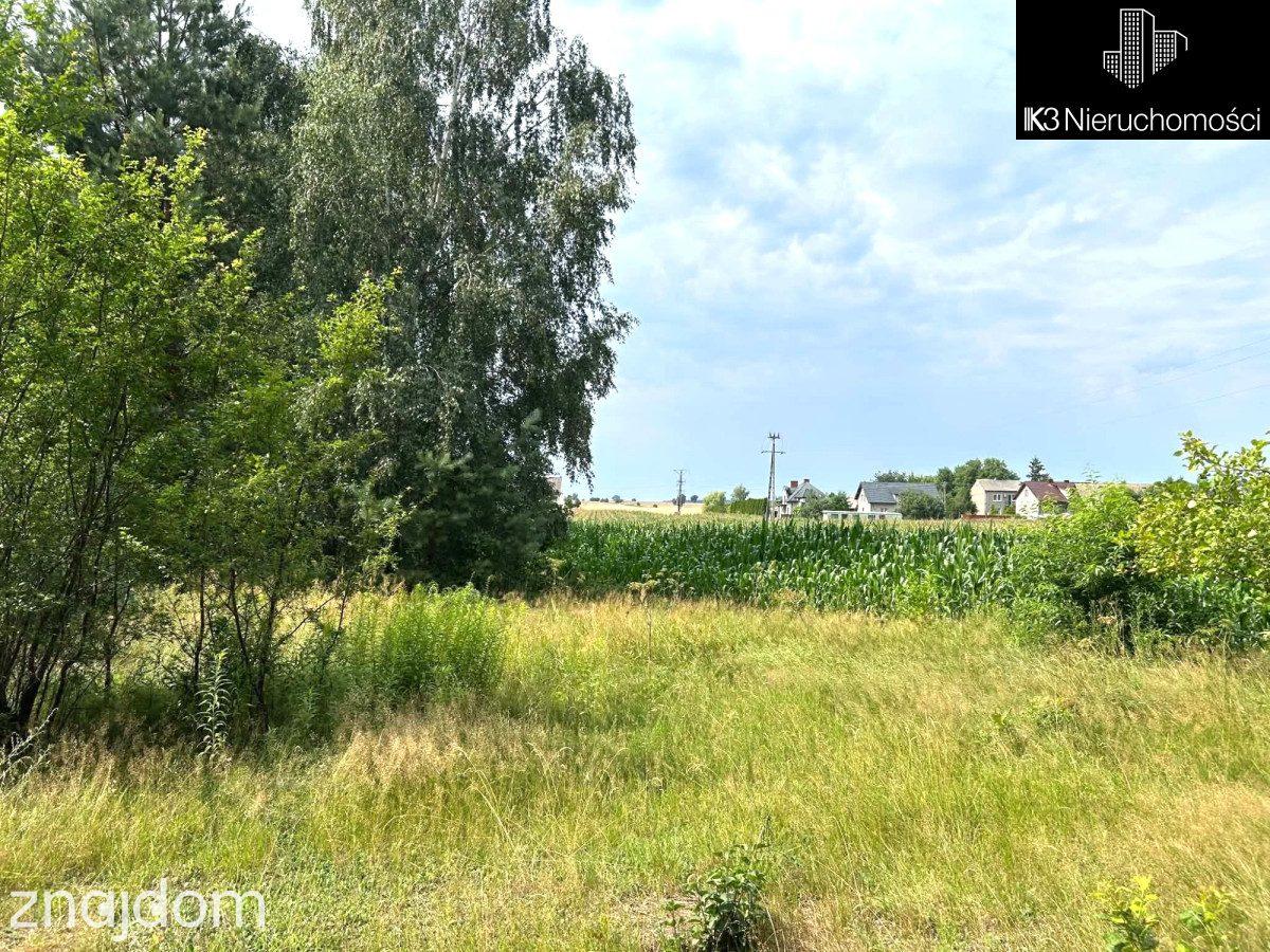 Prywatny azyl/las/szybki dojazd do centrum/2543m2 - zdjęcie 4