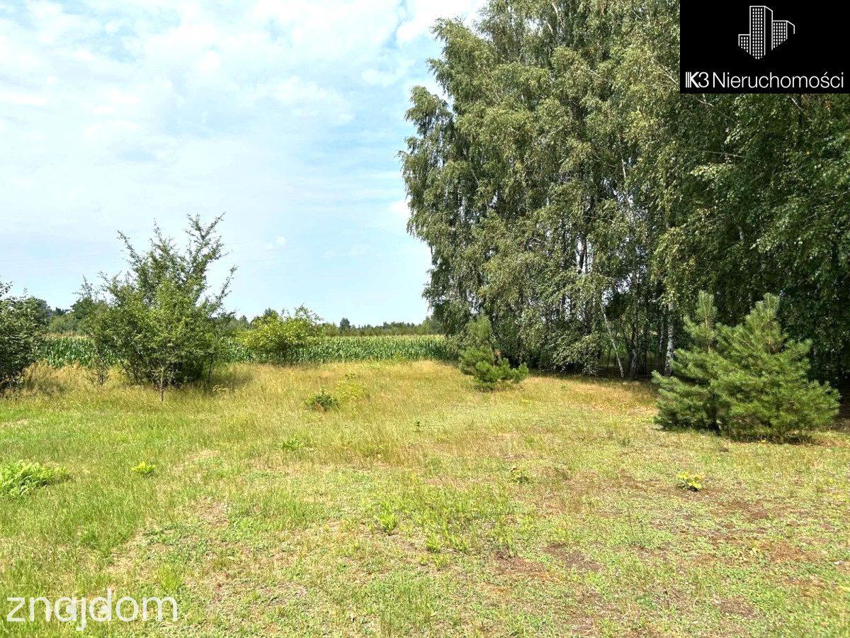 Prywatny azyl/las/szybki dojazd do centrum/2543m2 - zdjęcie 5