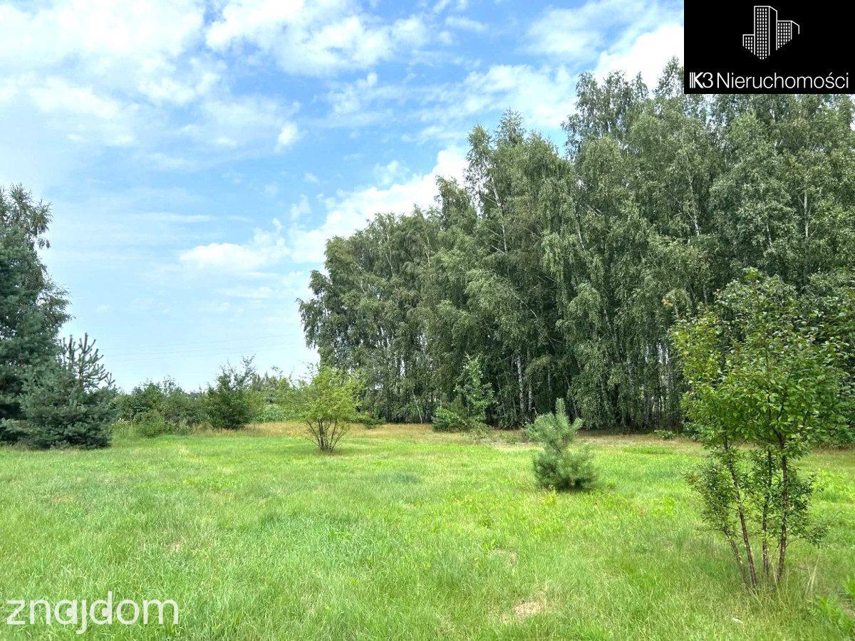 Prywatny azyl/las/szybki dojazd do centrum/2543m2 - zdjęcie 7
