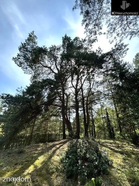 Dom nad Bugiem/Deskurów/Unikat - zdjęcie 18