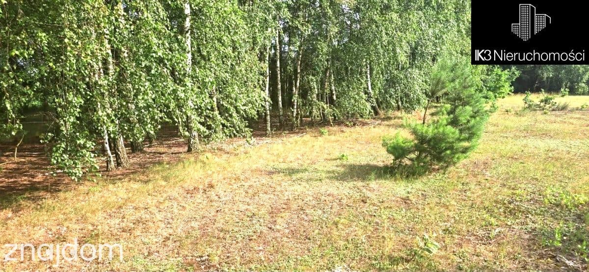 Prywatny azyl/las/szybki dojazd do centrum/2543m2 - zdjęcie 3