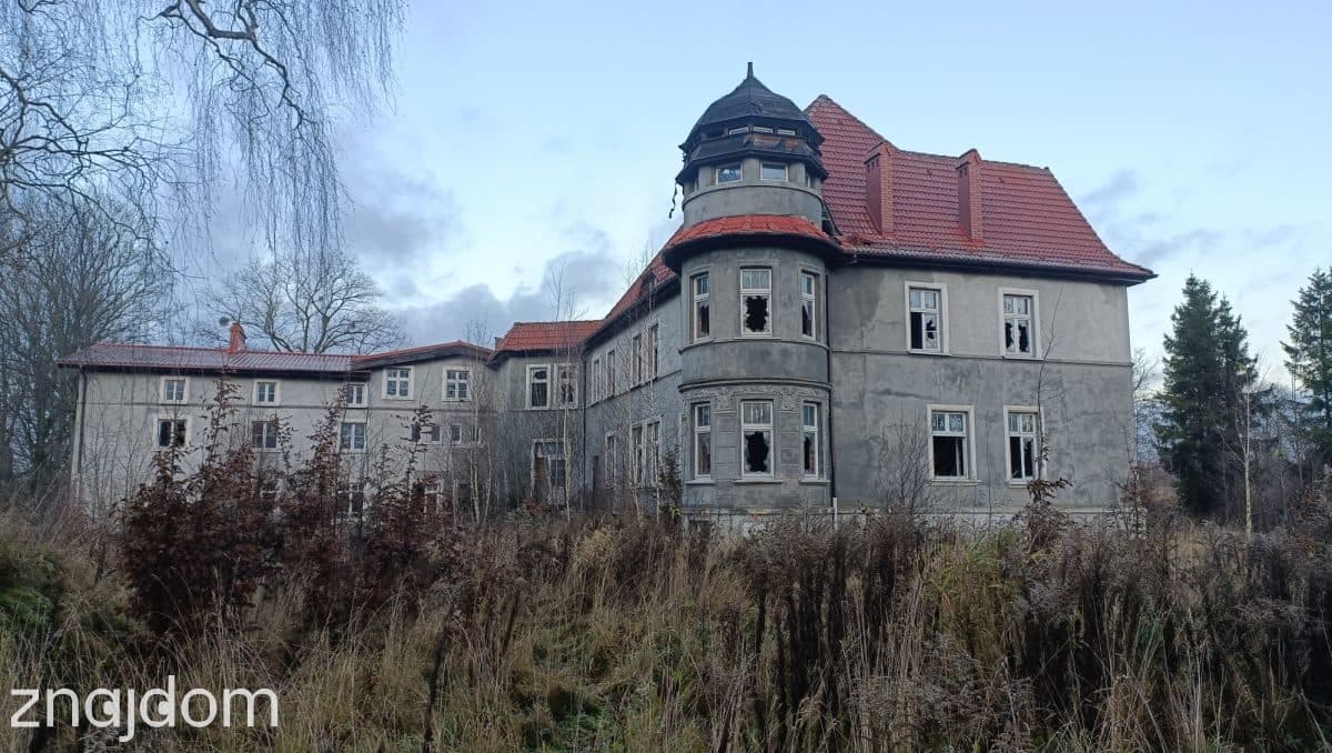 OFERTA INWESTYCYJNA – PAŁAC W MAŁKOWIE - zdjęcie 2