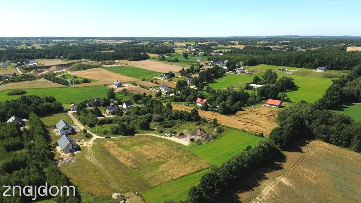 1200 m² w Skrzeszewie | WZ w trakcie - zdjęcie 3