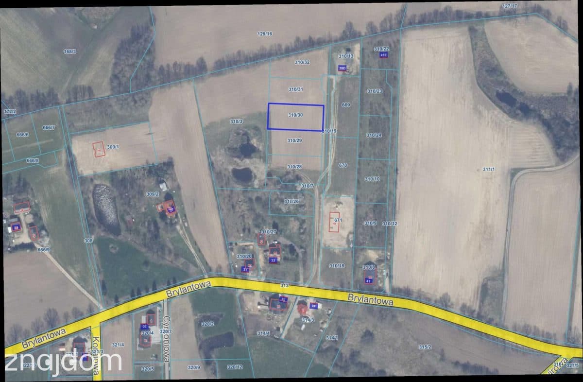 1200 m² w Skrzeszewie | WZ w trakcie - zdjęcie 6
