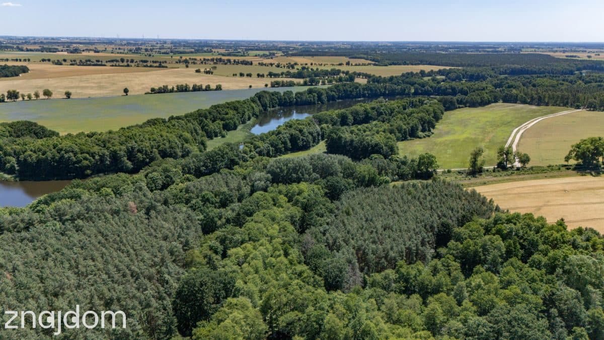 Jezioro, las i święty spokój – unikalne działki! - zdjęcie 5