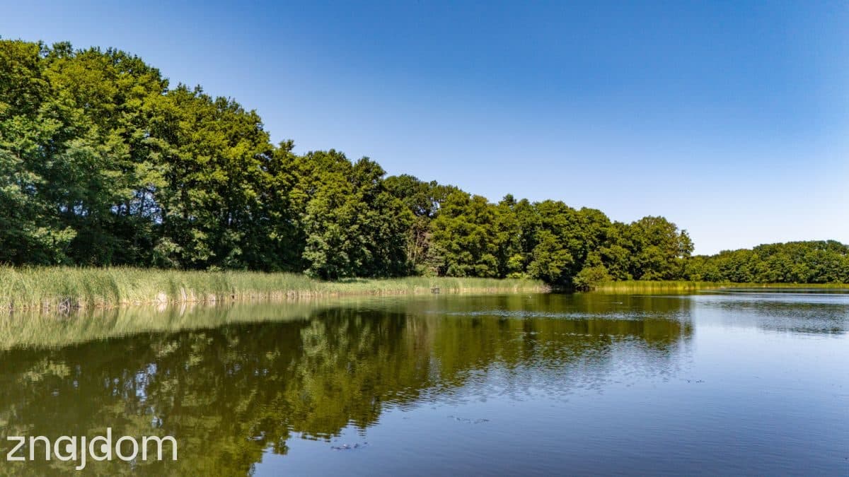 Jezioro, las i święty spokój – unikalne działki! - zdjęcie 9