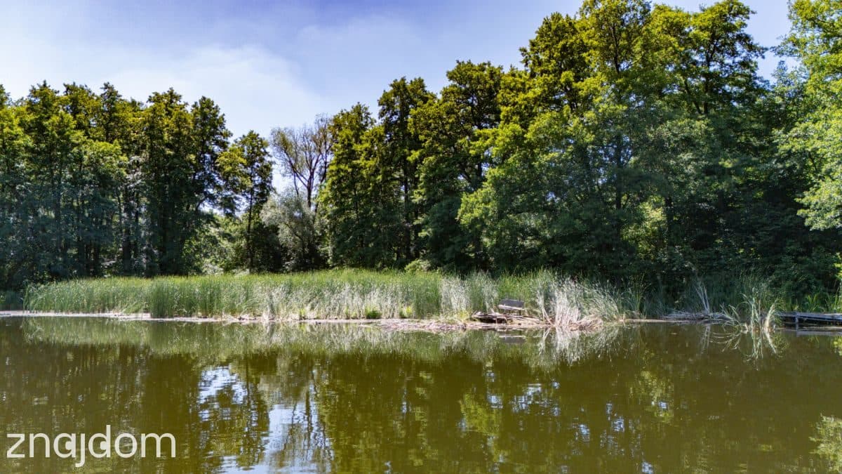 Jezioro, las i święty spokój – unikalne działki! - zdjęcie 10
